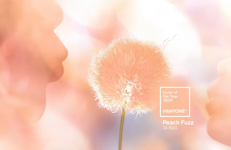 Pantone's 2024 Color of the Year: A Symbol of Peach Fuzz